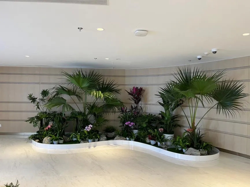 知晓宁波慈溪花卉租摆价格，开启美丽之旅！